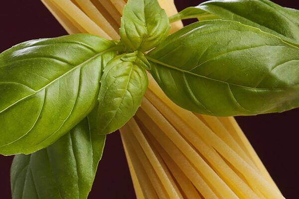 Pasta photography